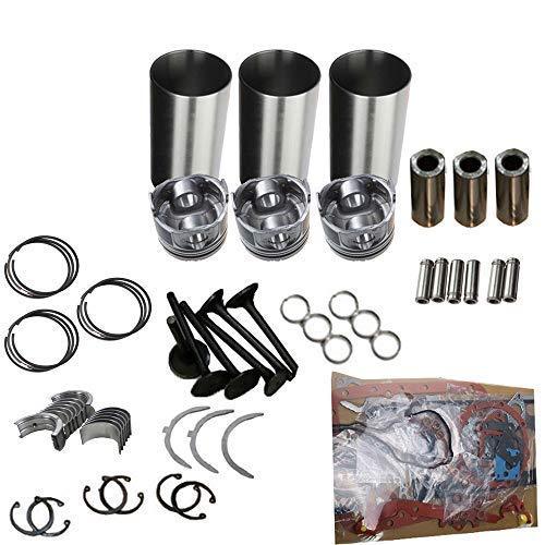 D1462-DI-AE Overhaul Rebuild Kit for Kubota Compact Utility tractor L2950 - KUDUPARTS